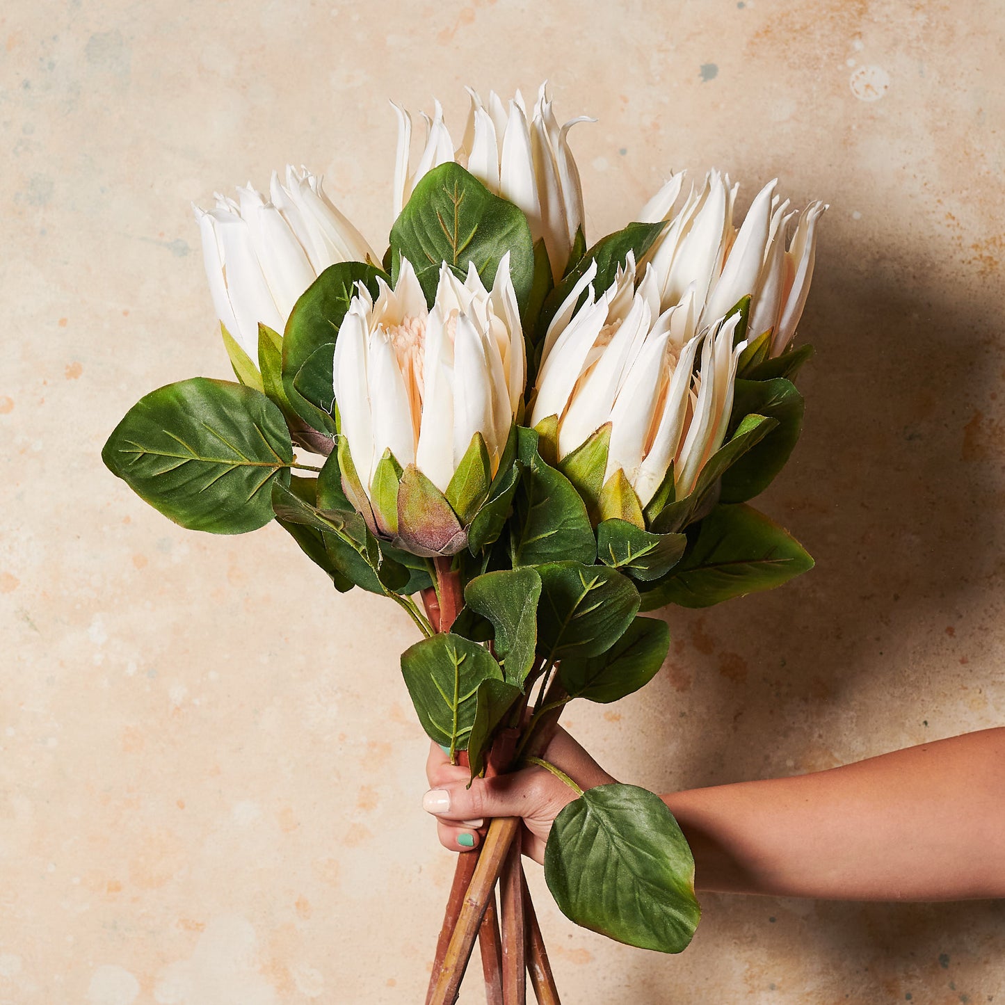 Bettie Queen Protea Real touch Flower Stem