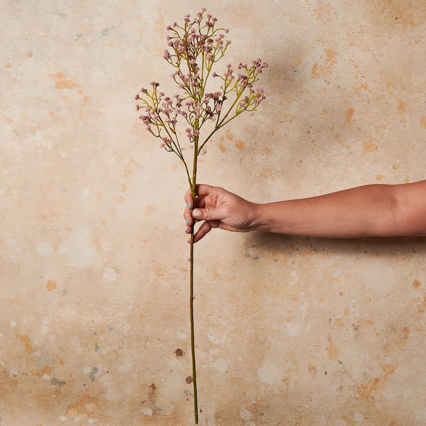 Babys Breath Real Touch