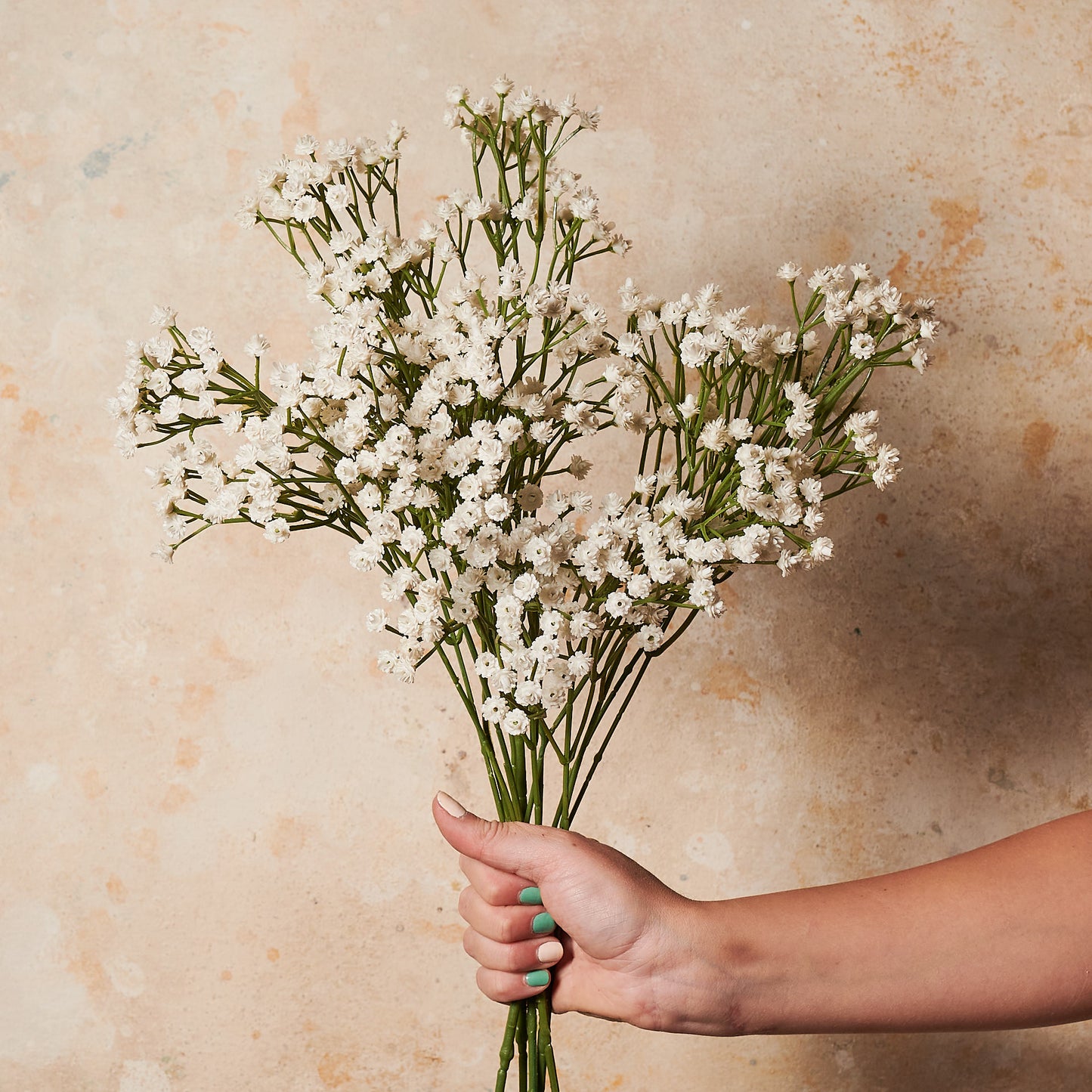 Babys Breath Real Touch