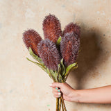 Banksia Real Touch Flower Stem