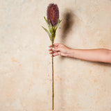 Banksia Real Touch Flower Stem