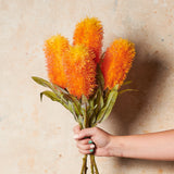 Banksia Real Touch Flower Stem