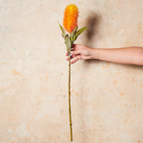 Banksia Real Touch Flower Stem