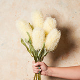 Banksia Real Touch Flower Stem