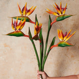 Bird Of Paradise Real Touch