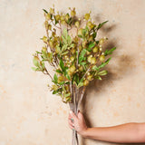 Blackwood Wattle Real Touch Flower Stem