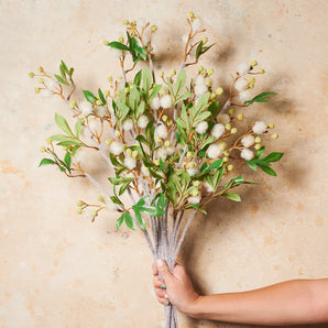 Blackwood Wattle Real Touch Flower Stem