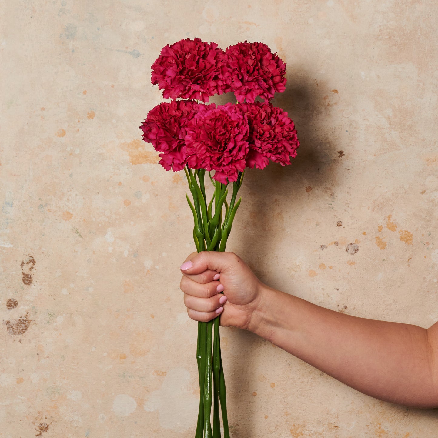 Carnation Real Touch Flower Stem