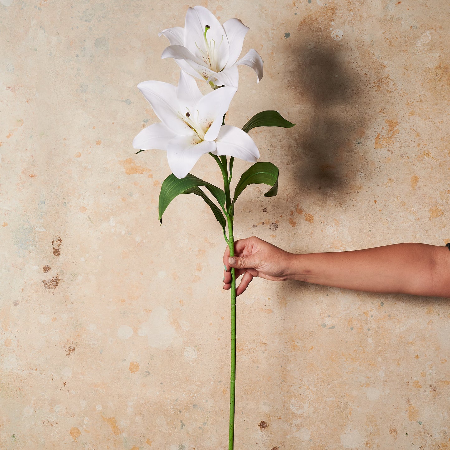 Casablanca Lily Real Touch Flower Stem