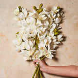 Cymbidium Orchid Real Touch Flower Stem