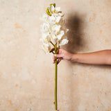 Cymbidium Orchid Real Touch Flower Stem