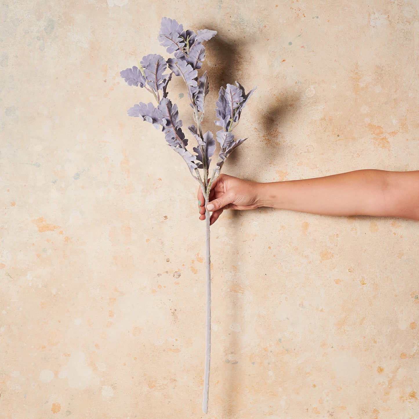 Dusty Miller Lavender Real Touch Stem
