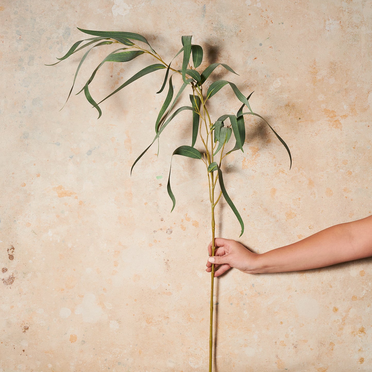 Eucalyptus Long Leaf Real Touch Stem