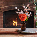 Hocus Pocus Set : Limited Release