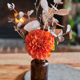 Clove : Limited Release