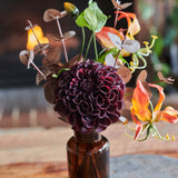 Boo : Limited Release