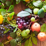 La Renaissance Wreath