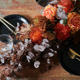 Cinnamon Garland : Limited Release