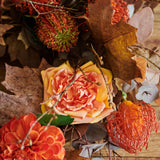 Spice Wreath : Limited Release