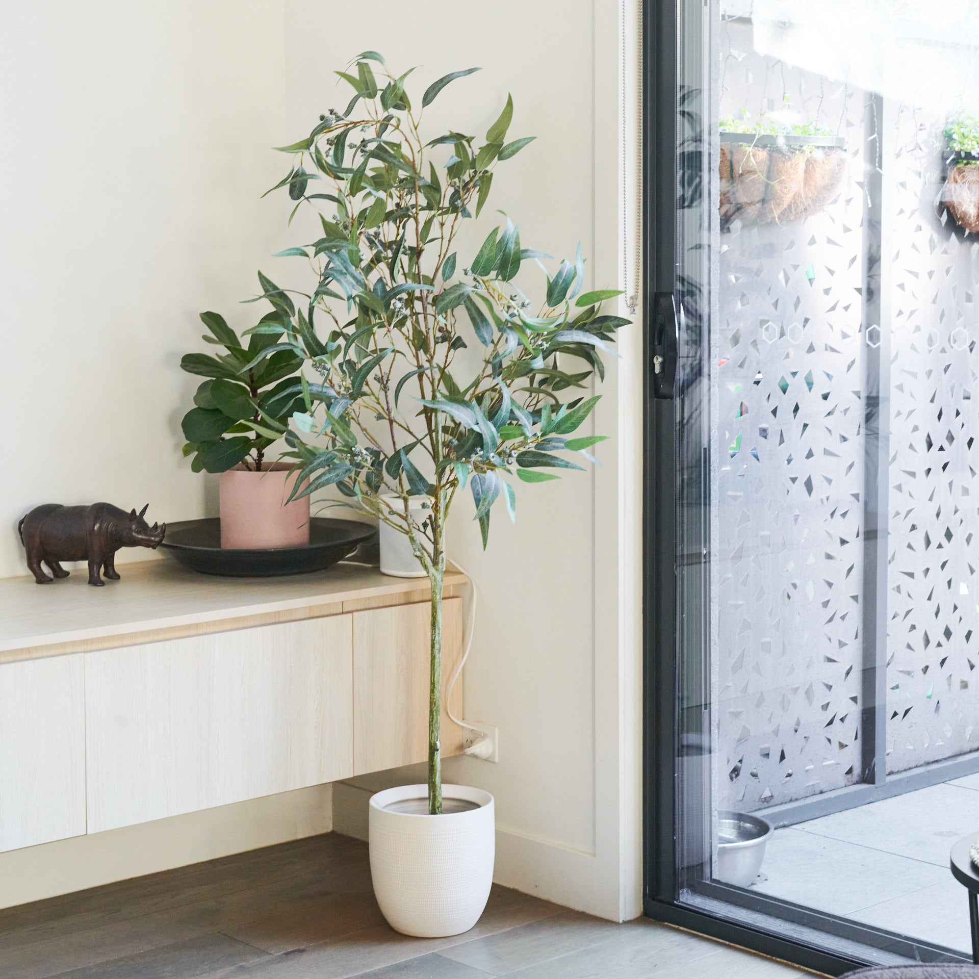 eucalyptus plant in pot Irwin Eucalyptus Tree with Ceramic Pot