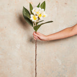 Frangipani Real Touch Flower Stem
