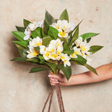 Frangipani Real Touch Flower Stem