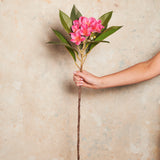 Frangipani Real Touch Flower Stem