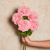 Austin Rose Real Touch Flower Stem