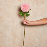 Austin Rose Real Touch Flower Stem