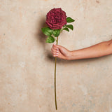 Austin Rose Real Touch Flower Stem