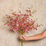 Dancing Orchid Real Touch