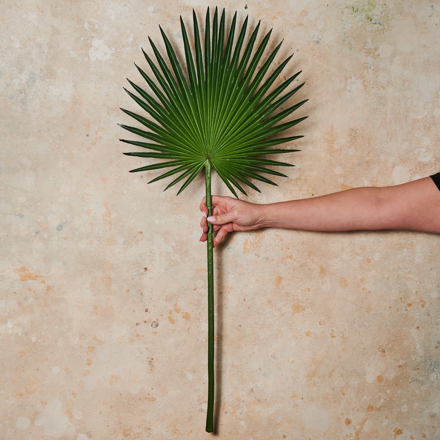 Palm Fan Leaf Real Touch Flower Stem