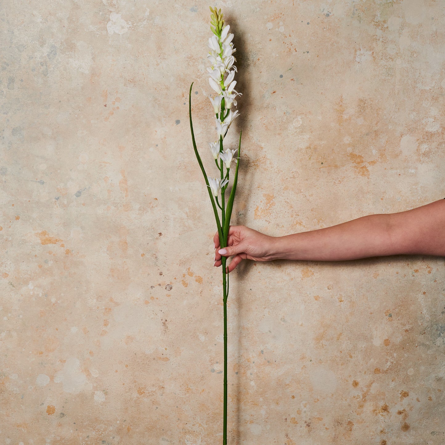 Tuberose Real Touch Flower Stem