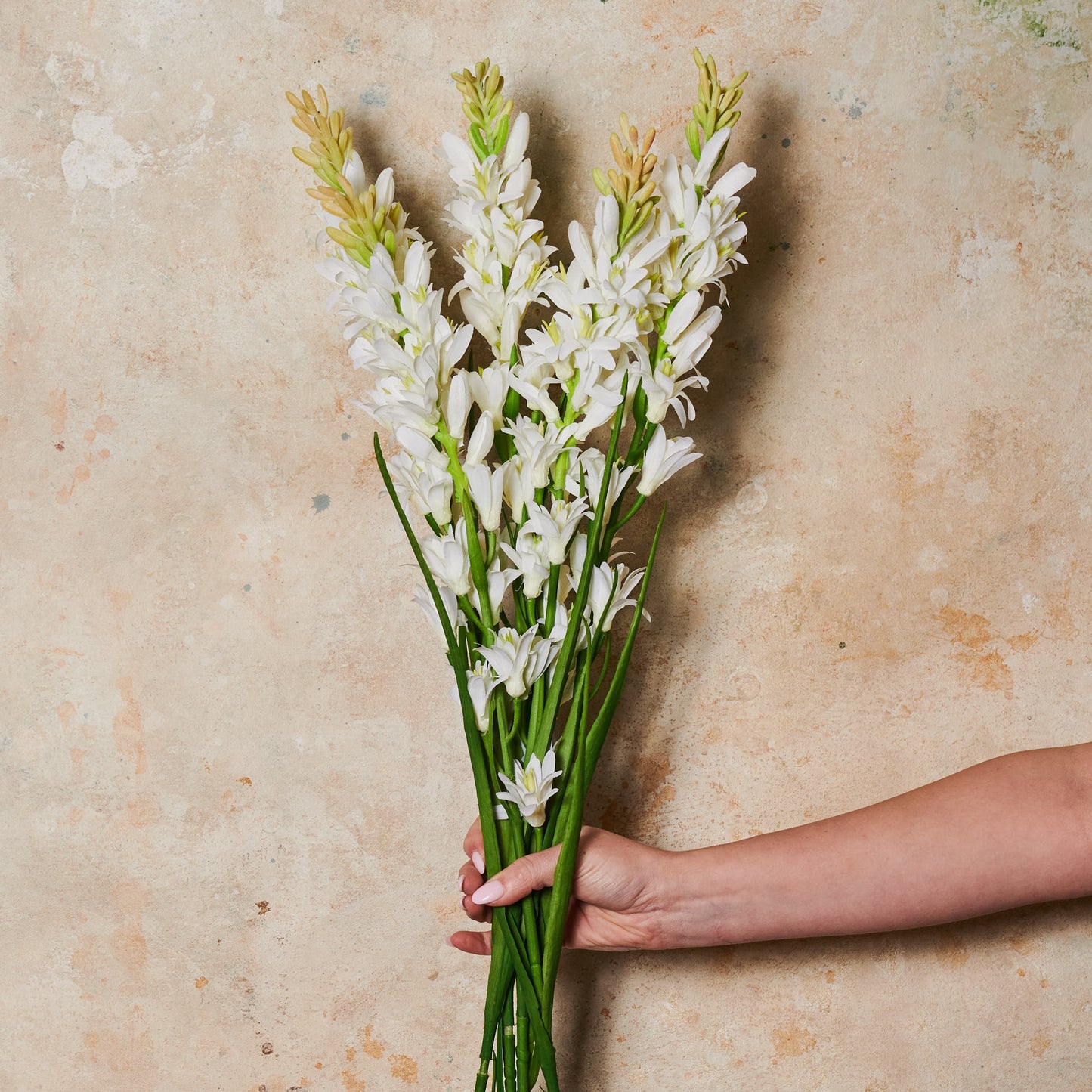 Tuberose Real Touch Flower Stem