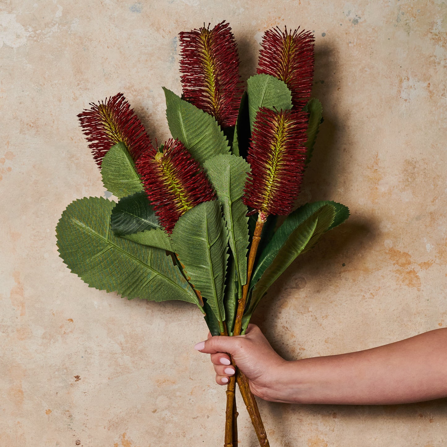 Banksia Robur Real Touch Flower Stem