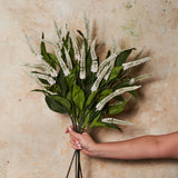 Cascara Berry Spray Real Touch Stem