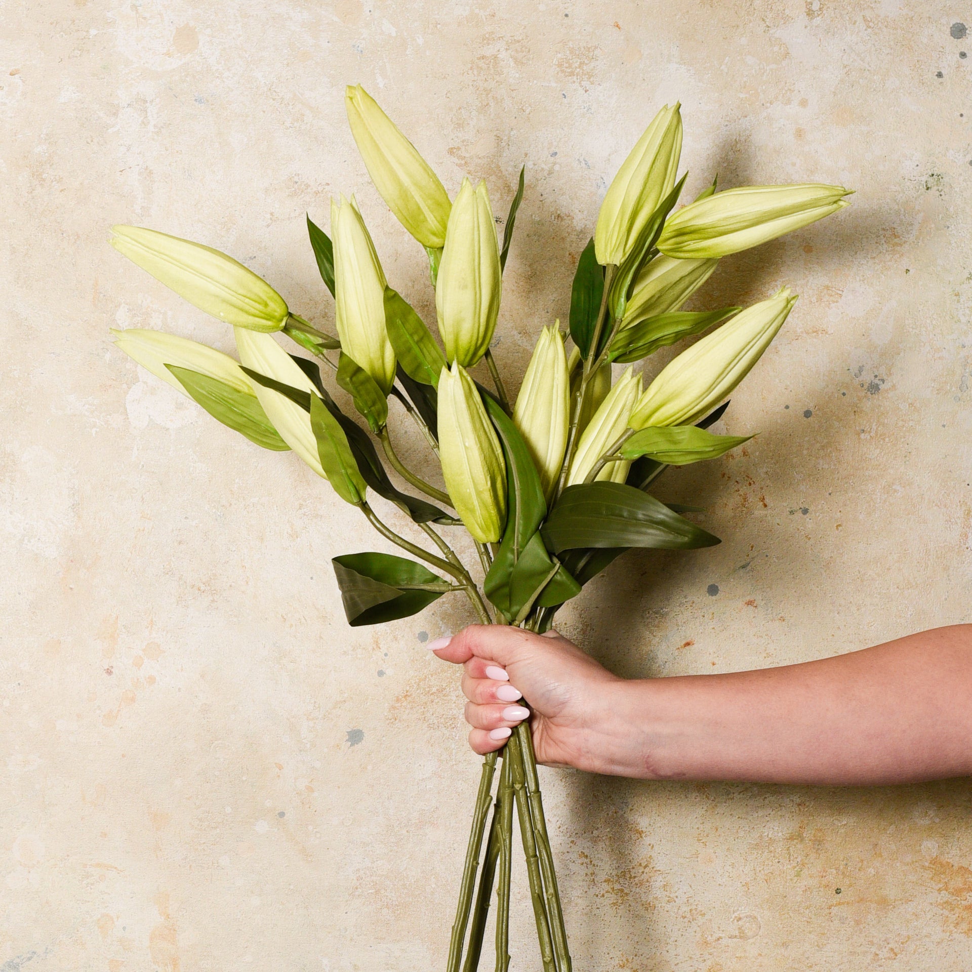 lily flower bud Casablanca Lily Bud Real Touch Flower Stem