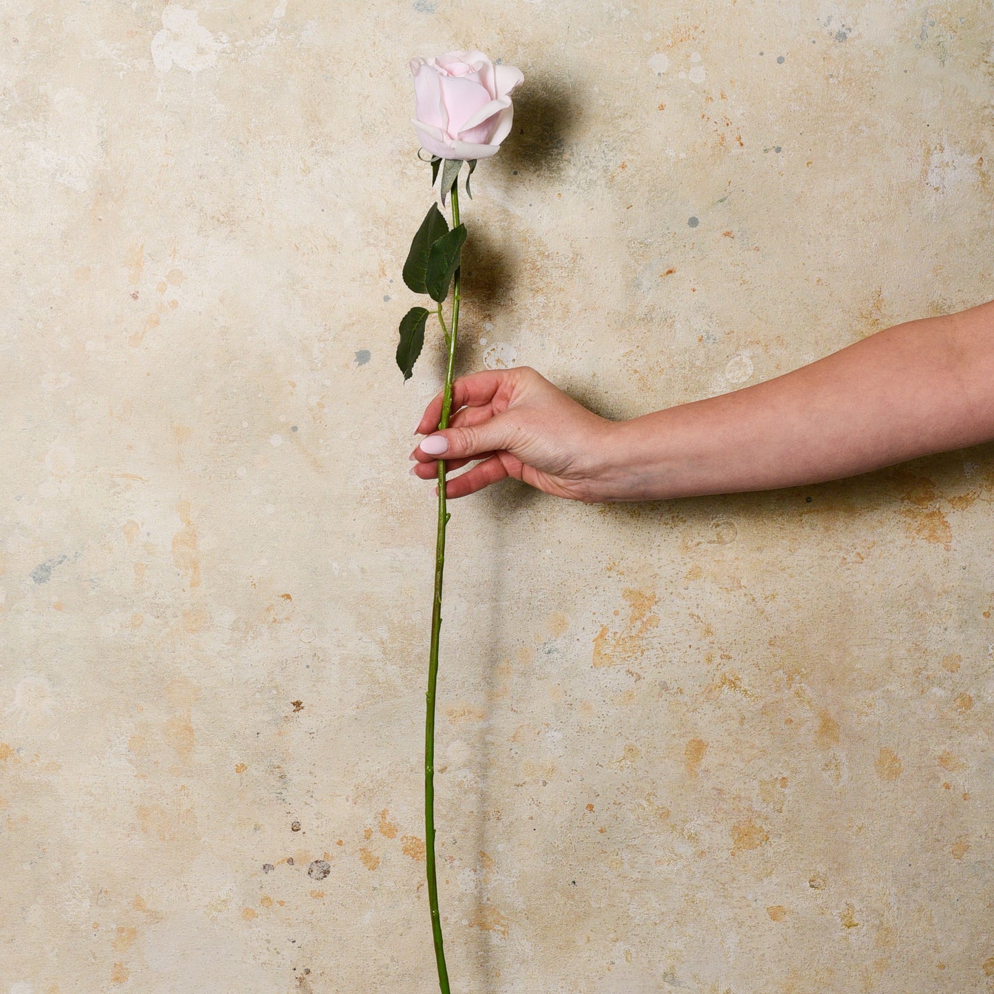 Rose Yvie Real Touch Flower Stem