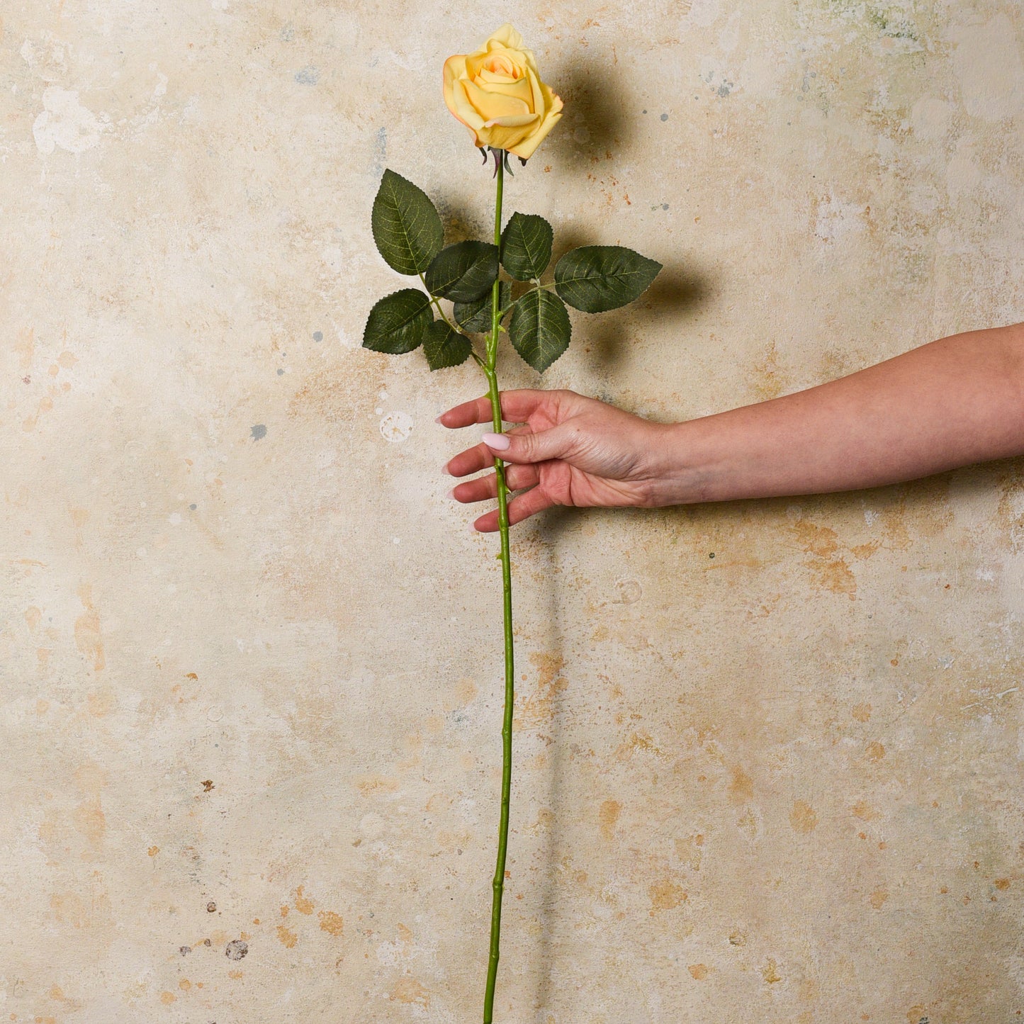 Rose Yvie Real Touch Flower Stem