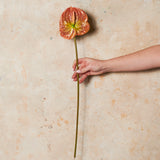 Anthurium Real Touch Flower Stem