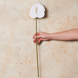 Anthurium Real Touch Flower Stem