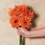 Gerbera Flower Bundle