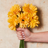 Gerbera Flower Bundle