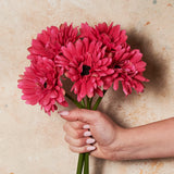 Gerbera Flower Bundle