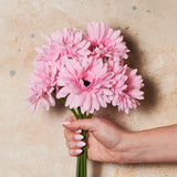 Gerbera Flower Bundle