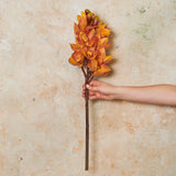 Cymbidium Orchid Real Touch Flower Stem