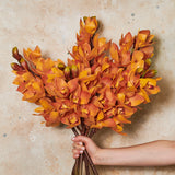 Cymbidium Orchid Real Touch Flower Stem