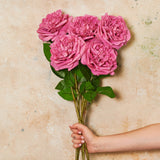 Austin Rose Real Touch Flower Stem