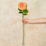 Austin Rose Real Touch Flower Stem
