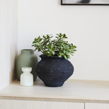 Lennox Jade Succulent Plant and Pot